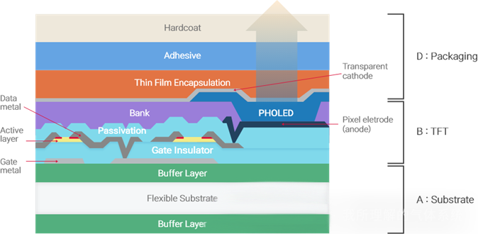 Demistificazione dell'AMOLED: innovazioni nei backplane LTPO e nelle tecnologie di colorazione