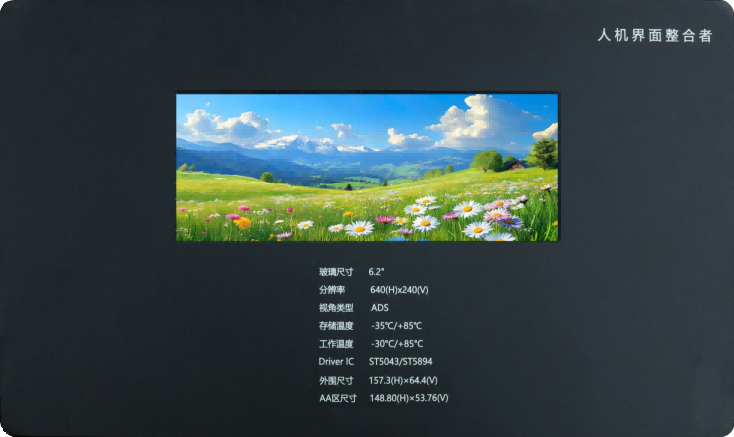 TFT da 6,2 pollici