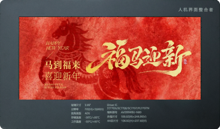 Display da 9,99 pollici