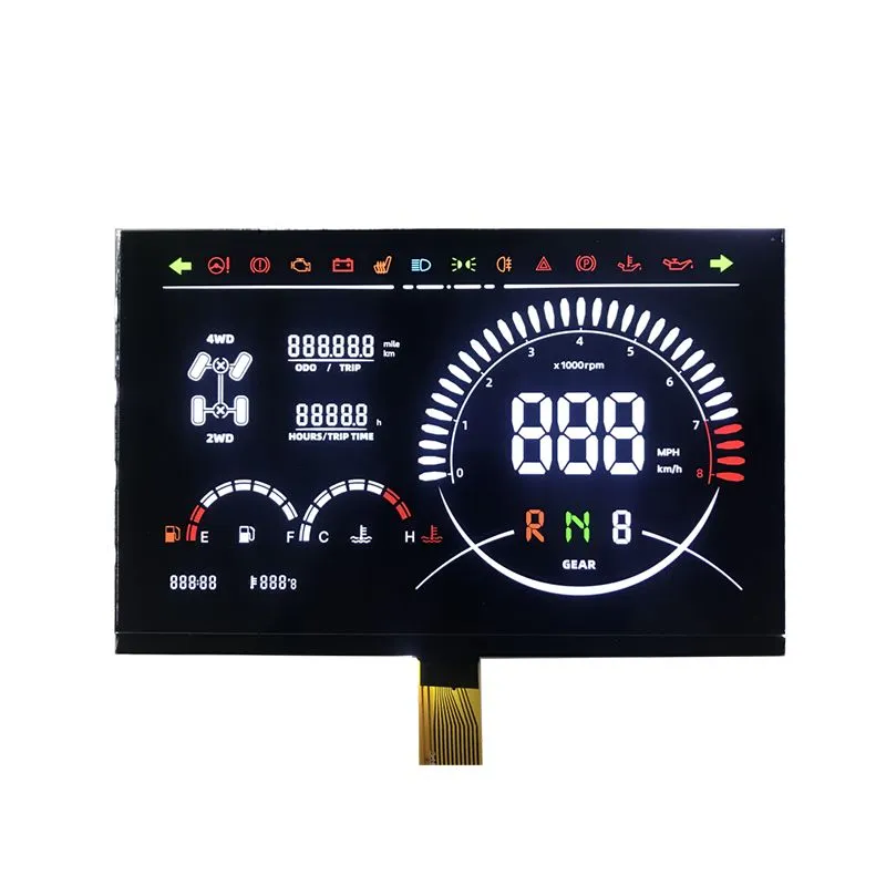Modulo di visualizzazione LCD segmento